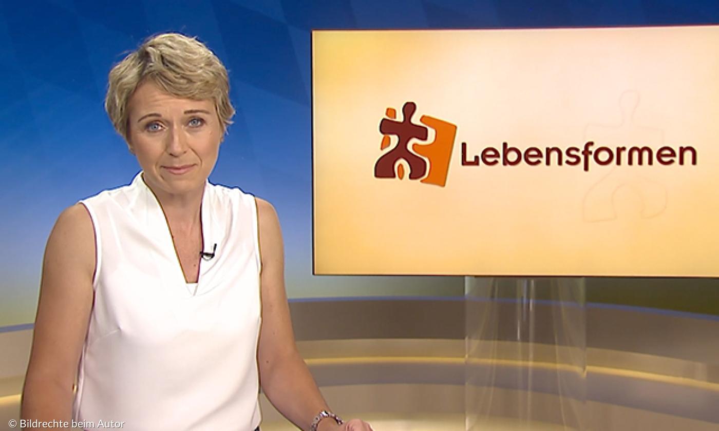 Berufswechsel im Wandel: Vielfalt statt Einheitsbrei | Lebensformen