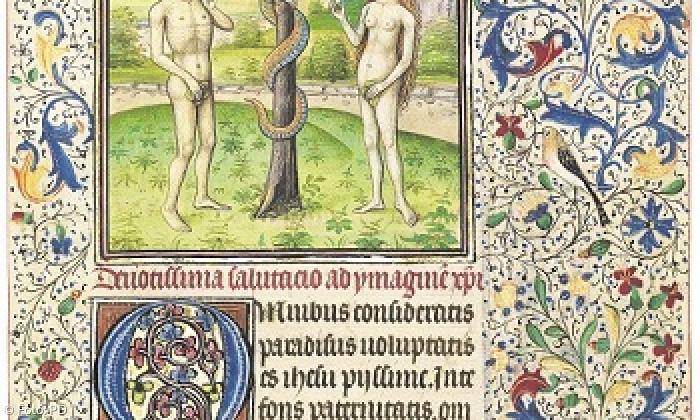 Das Kreuz erwächst aus dem Baum der Erkenntnis: Miniatur von Willem Vrelant, 1460.