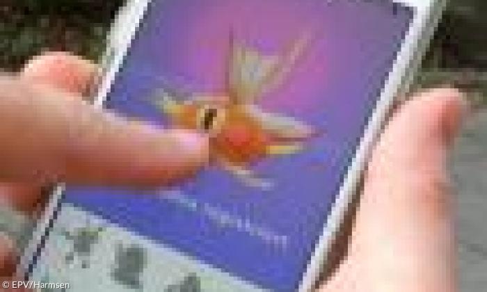 PokeomGo Detail
