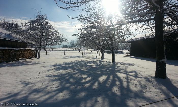 Das winterliche Rimsting im Sonnenschnein 