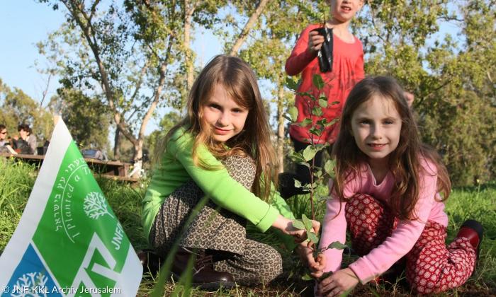 Kinder pflanzen Bäume an Tu Bischwat