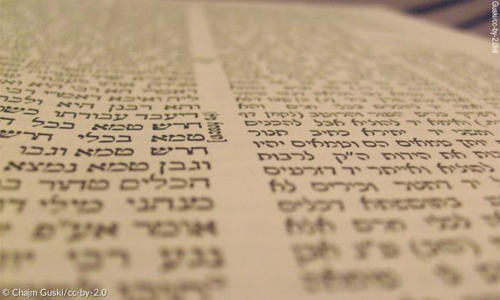 Der gedruckte Talmud