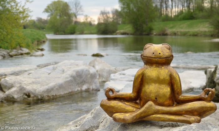 Meditierende Froschskulptur in einem Bachbett