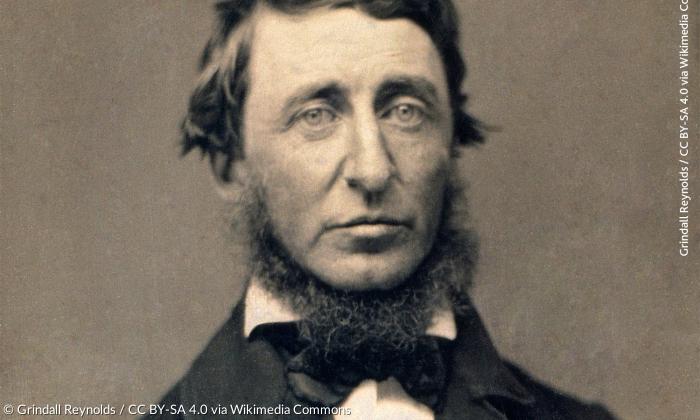 Henry David Thoreau (1817-1862): Daguerreotypie von Benjamin Maxham aus dem Juni 1856.