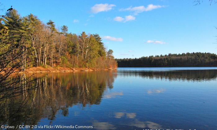 Der »Walden Pond« (Walden-Teich) in den Wäldern von Massachusetts, 35 Kilometer westlich von Boston gelegen.