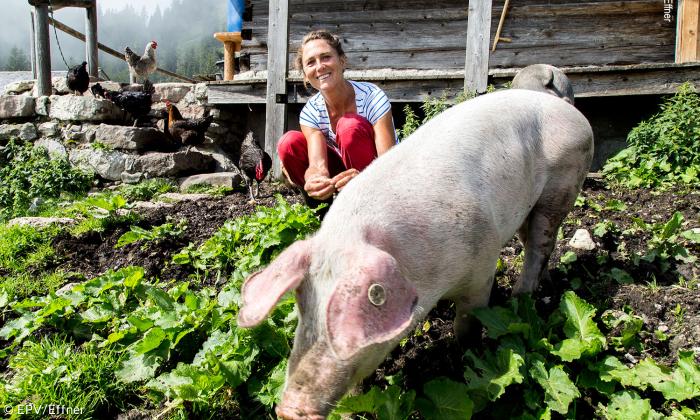 Sennerin mit Hühnern und Schwein.