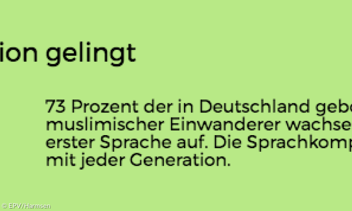 Religionsmonitor: Muslime und Sprache