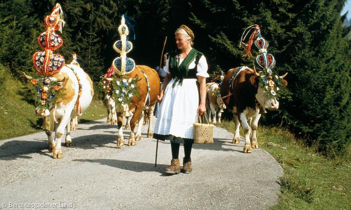 Almabtrieb und Viescheid in Bayern