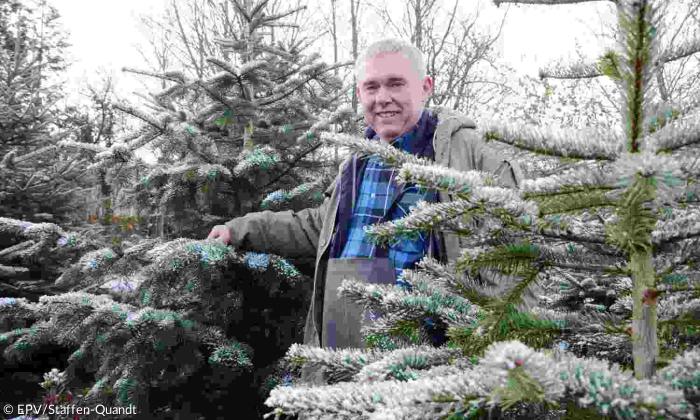 Christbaumverkäufer Ernst Wolf