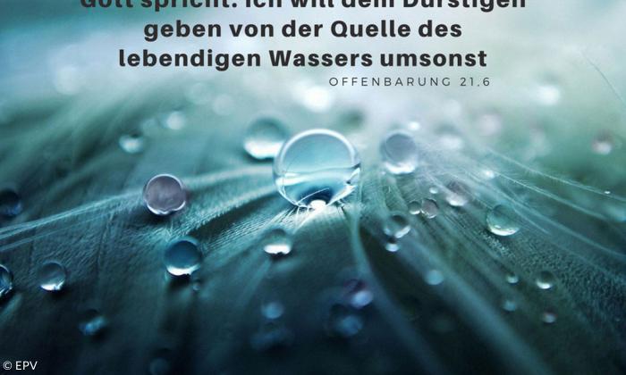 Jahreslosung 2018 Wasser