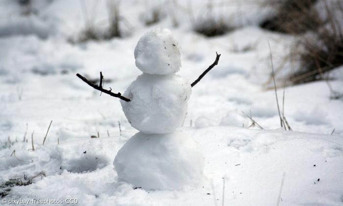 Grätz hält den Mann aus Schnee für einen idealen ökologischen und sozialen Botschafter.