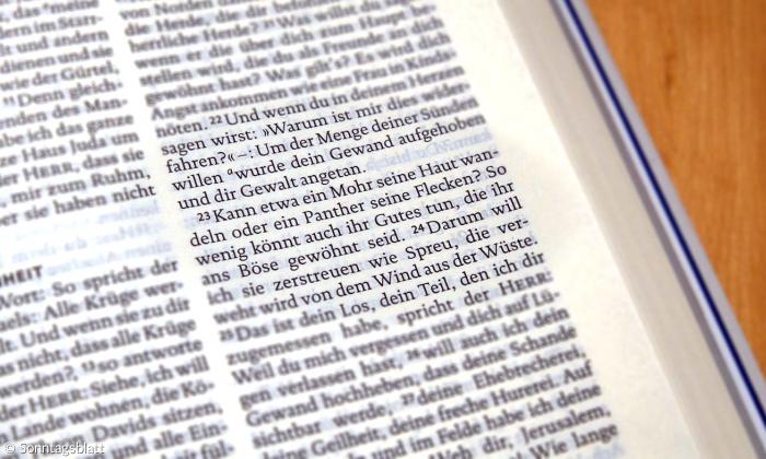 »Kann etwa ein Mohr seine Haut wandeln oder ein Panther seine Flecken?« - Bei der Übersetzung von Jeremia 13,23 ging es den Revisoren des Luthertextes darum, das hebräische Sprachbild plausibel wiederzugeben. 
