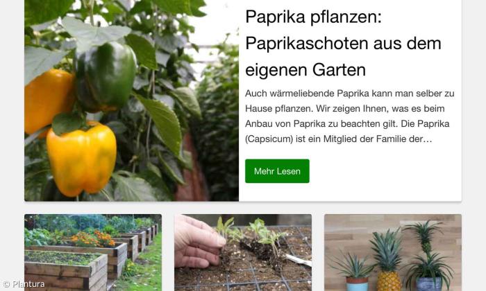 Plantura