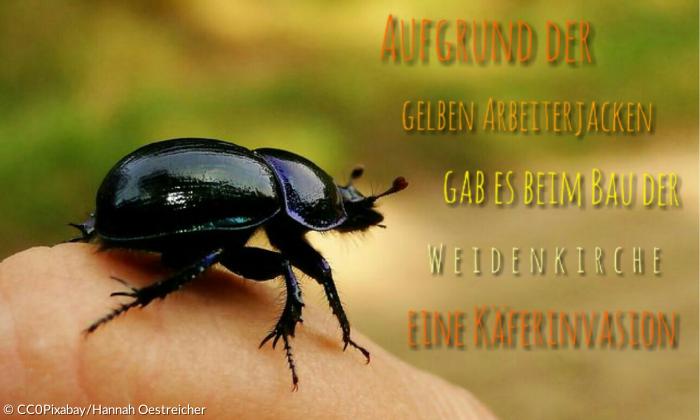 Weidenkirche Pappenheim Fakten Käfer
