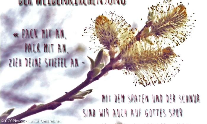 Weidenkirche Pappenheim Lied Song
