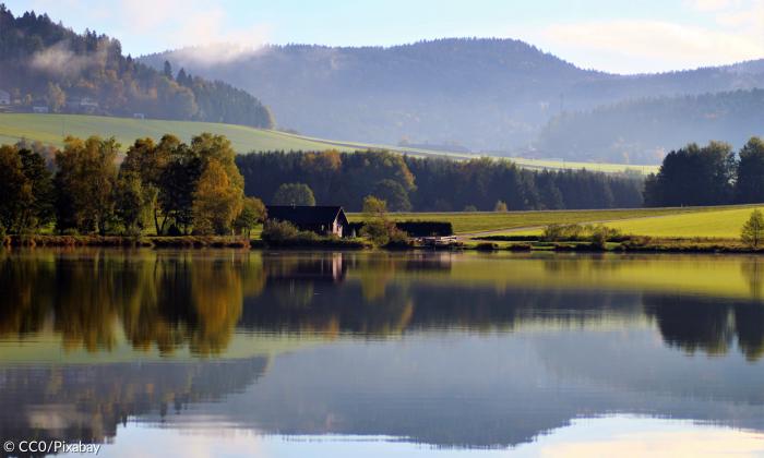 Heimat