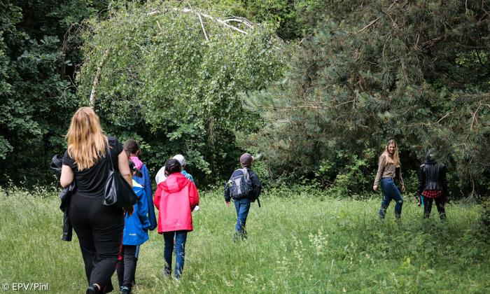 Im Gänsemarsch in den Wald.