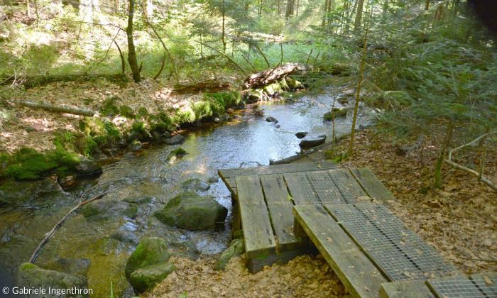 Erlebnisweg "Seelensteig" im Bayerischen Wald 