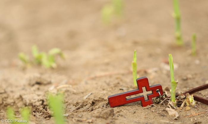 Auf Erde liegendes Kreuz mit sprossenden Gräsern