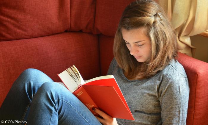 Frau Buch Lesen 