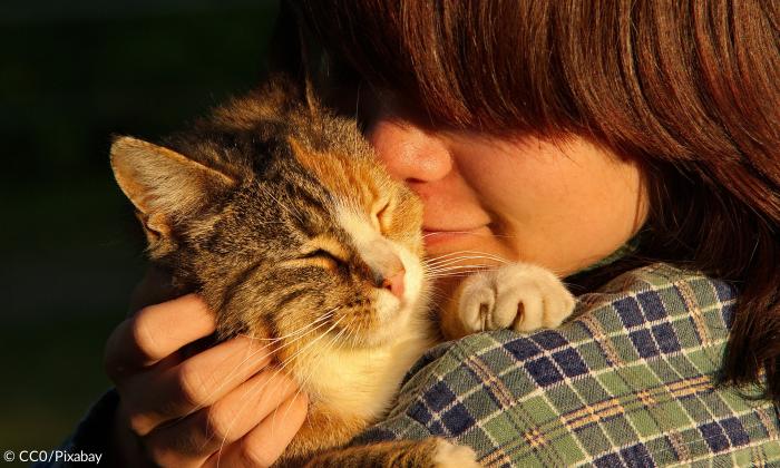 Katze und Mensch