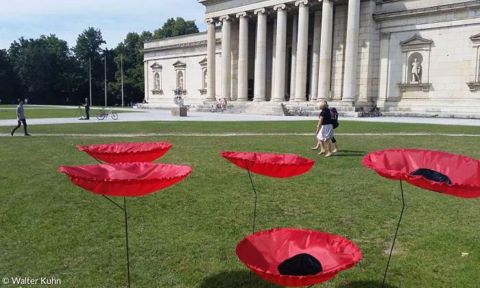 Modell Mohnblume Königsplatz