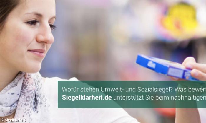 Siegelklarheit Screenshot Homepage