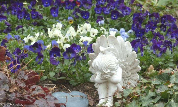 Eingel im Garten