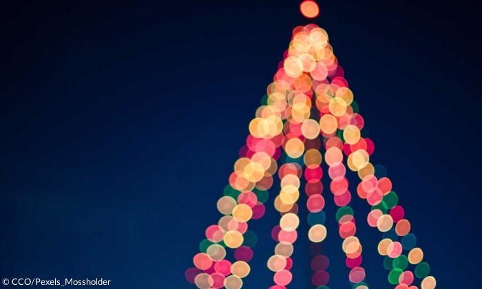 Weihnachtsbaum Christbaum Beleuchtung