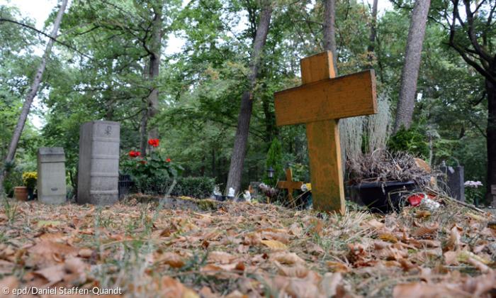 Grab auf dem Würzburger Waldfriedhof