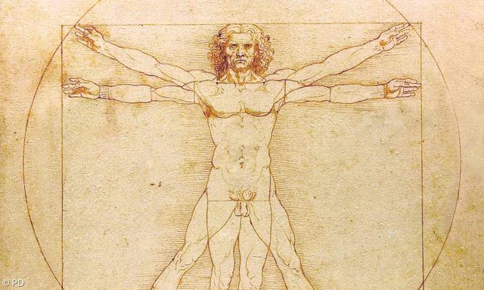 Leonardo da Vincis Zeichnung: "Vitruvianischer Mensch" 