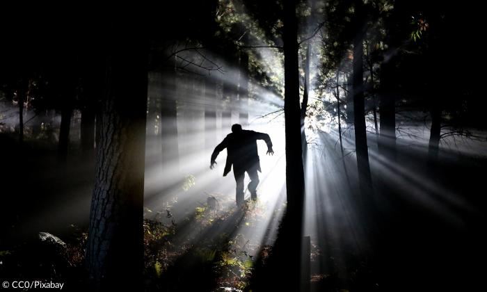 Monster Wald Angst Verfolgung