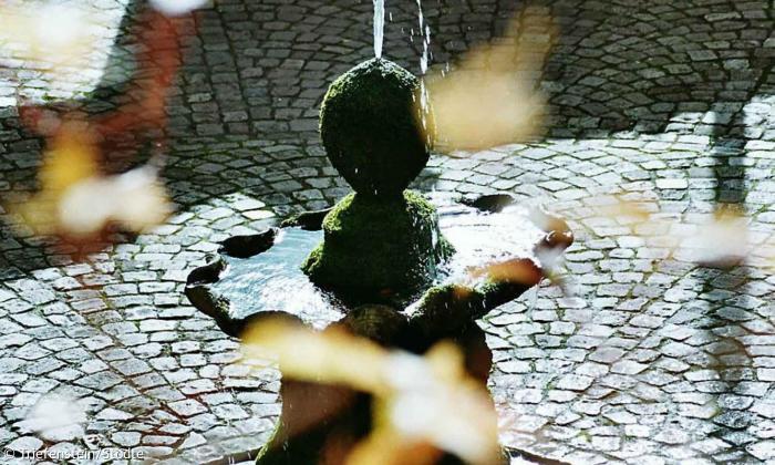 Brunnen in Triefenstein