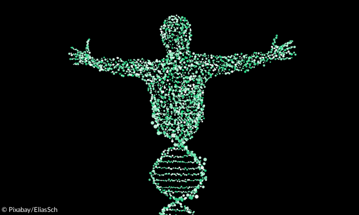 DNA Mensch Gene Gentechnik Erbgut