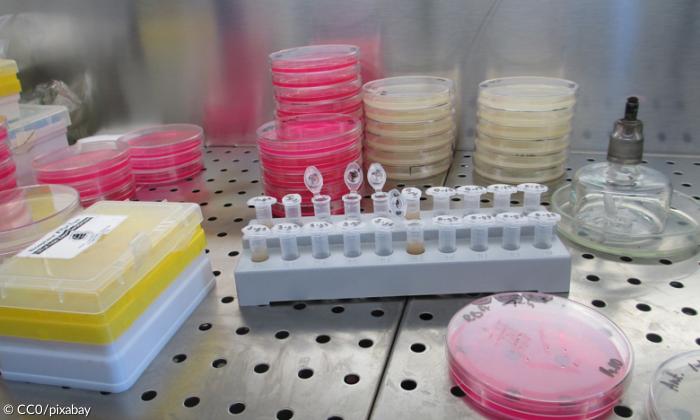 Laboratorium