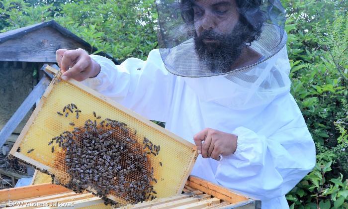 Bienen Imker Nico Dibiase Mesner 