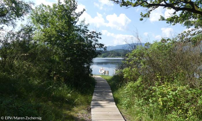 Bohlenweg 