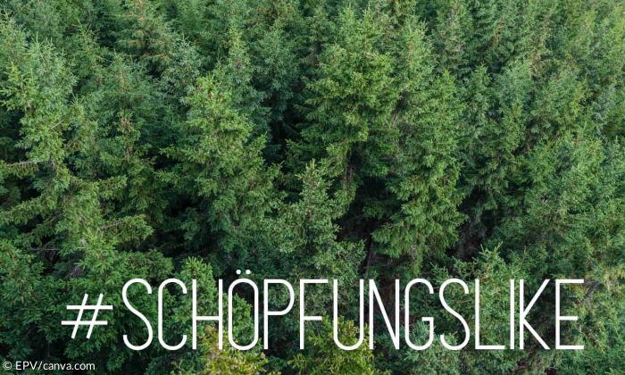 #schöpfungslike