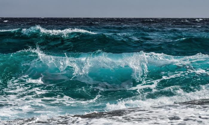 Meer