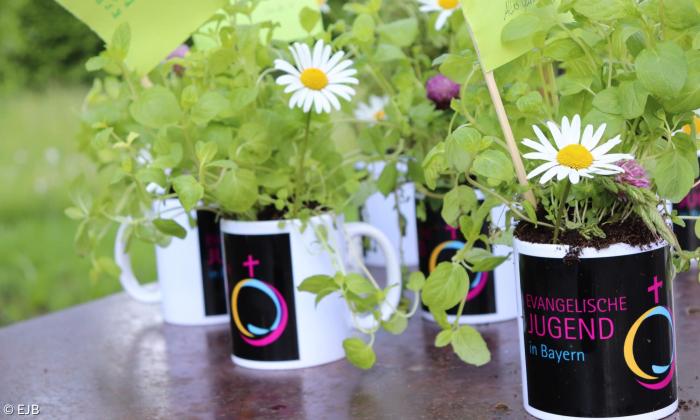 Blumen EJB Evangelische Jugend Bayern
