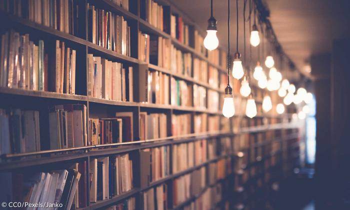 Bücherregal Lampe Bildung