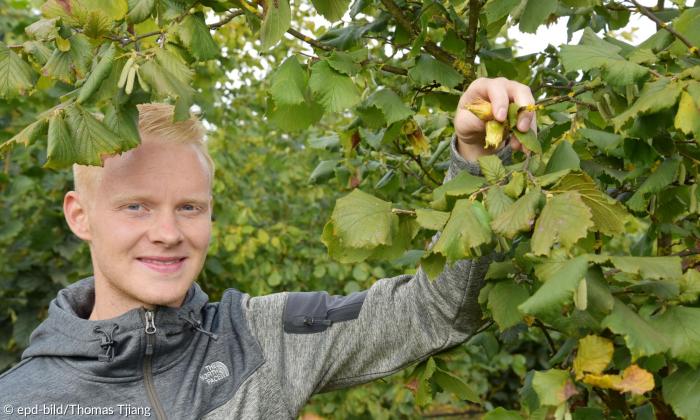 Haselnuss Experte Martin Stiegler Franken 2019