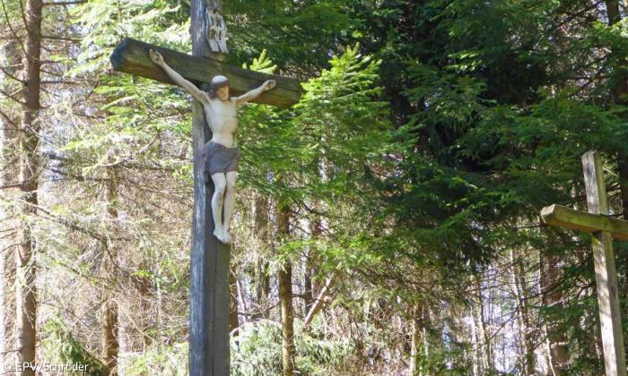 Wald Kreuz Jesus Christus Baum Spazieren