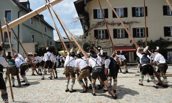 Maibaum Bad Reichenhall Bayern Tradition