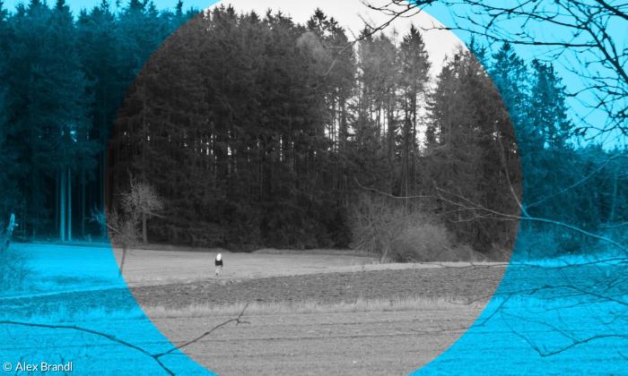 Communität Christusbruderschaft Selbitz Nonne Schwester Landschaft Oberfranken