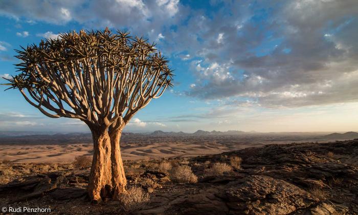 Namibia: Landschaft 
