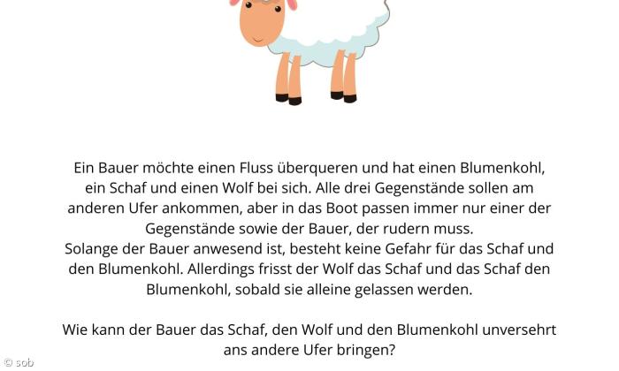 Rätsel Nummer 10 - Schaf - Lösung