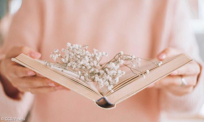Buch traum Fantasie