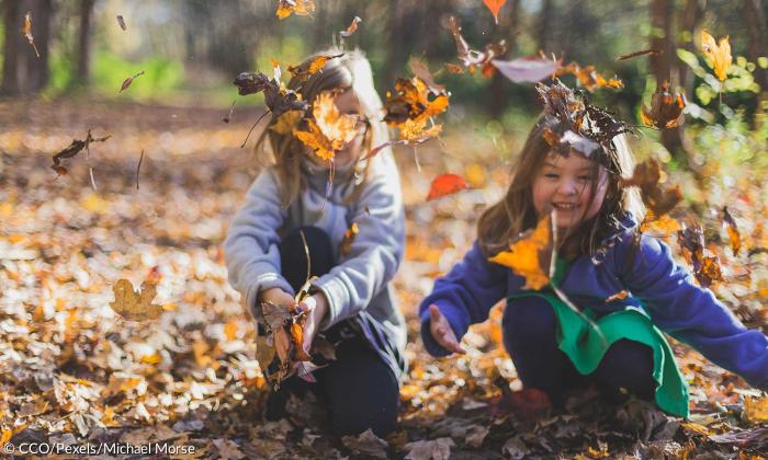 Kinder Kindergarten Spielen Herbst Laub