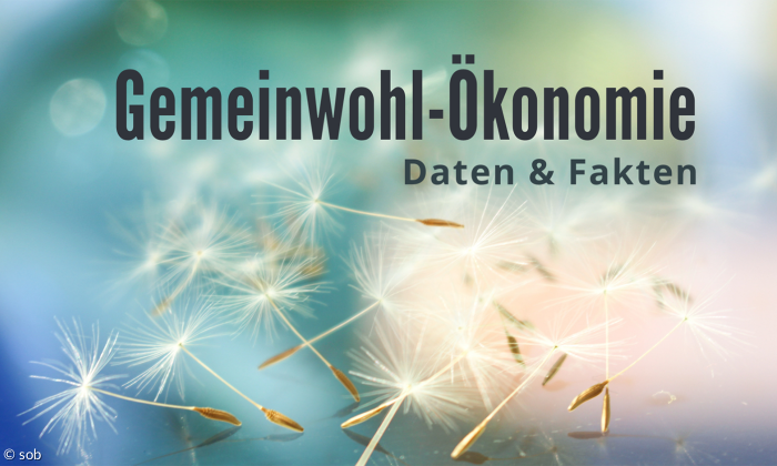 Gemeinwohl-Ökonomie 